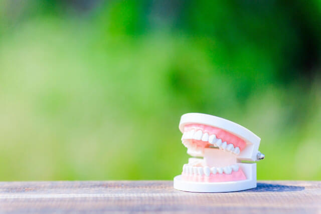 浦安市の歯医者 矯正歯科 あらかわ歯科医院　歯の痛みの原因 むし歯以外の歯の痛み