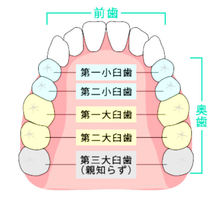 浦安市の歯医者 矯正歯科 あらかわ歯科医院 CAD/CAM冠 保険の白いかぶせ物