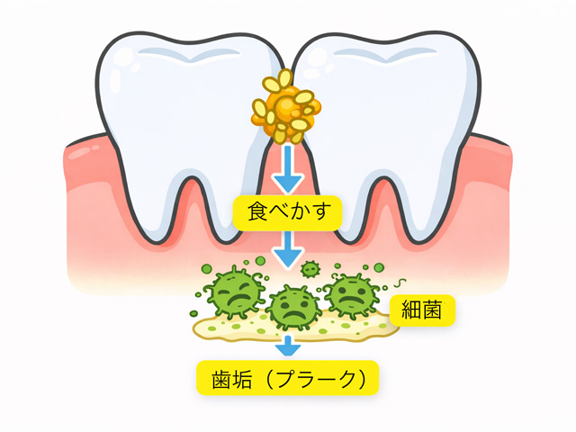 浦安市の歯医者 矯正歯科 あらかわ歯科医院 デンタルフロスが臭う理由