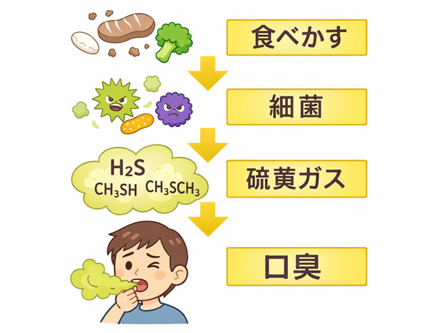 浦安市の歯医者 矯正歯科 あらかわ歯科医院 デンタルフロスが臭う理由